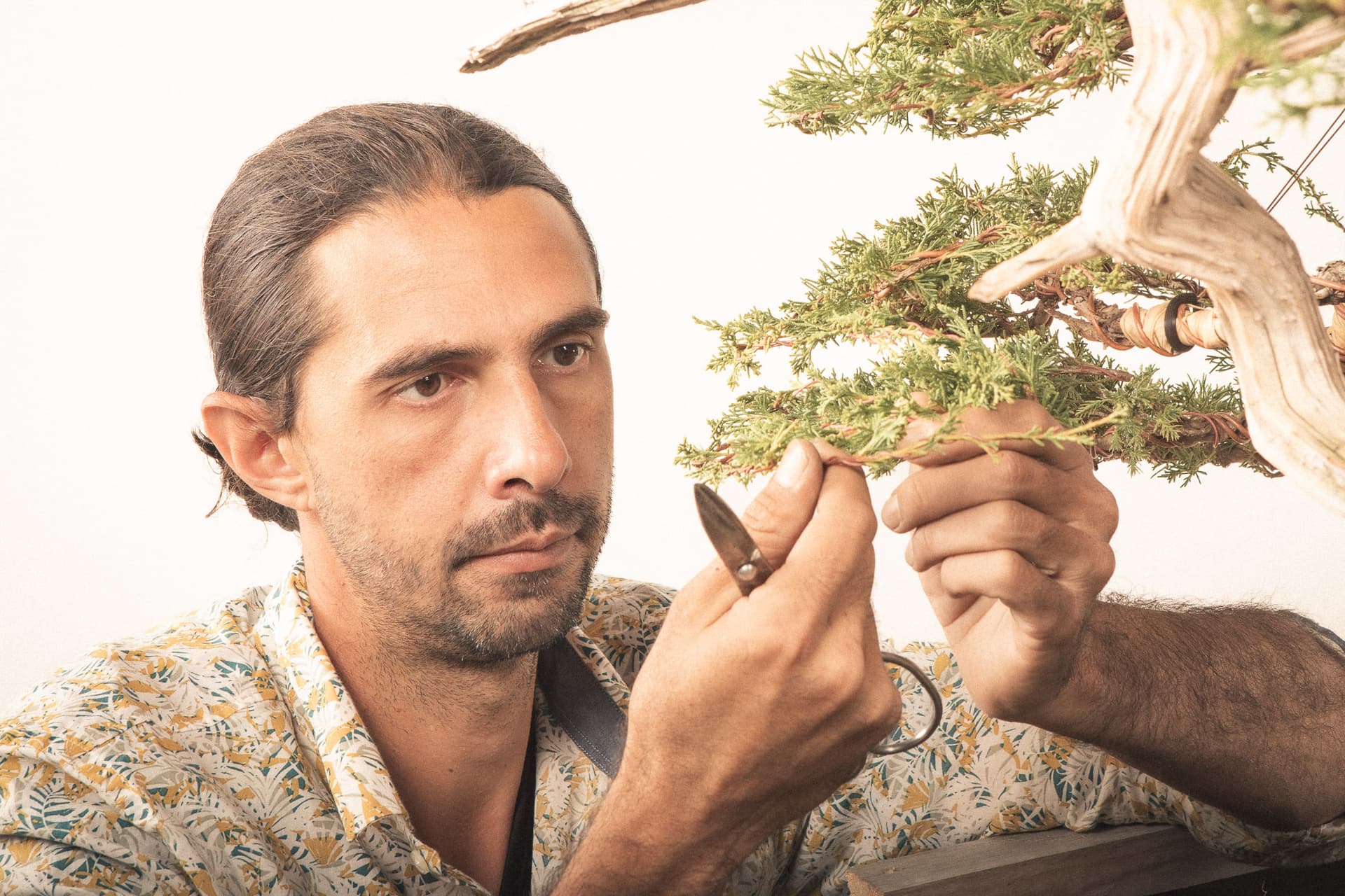 Manuel Turpin - Artisan Bonsai