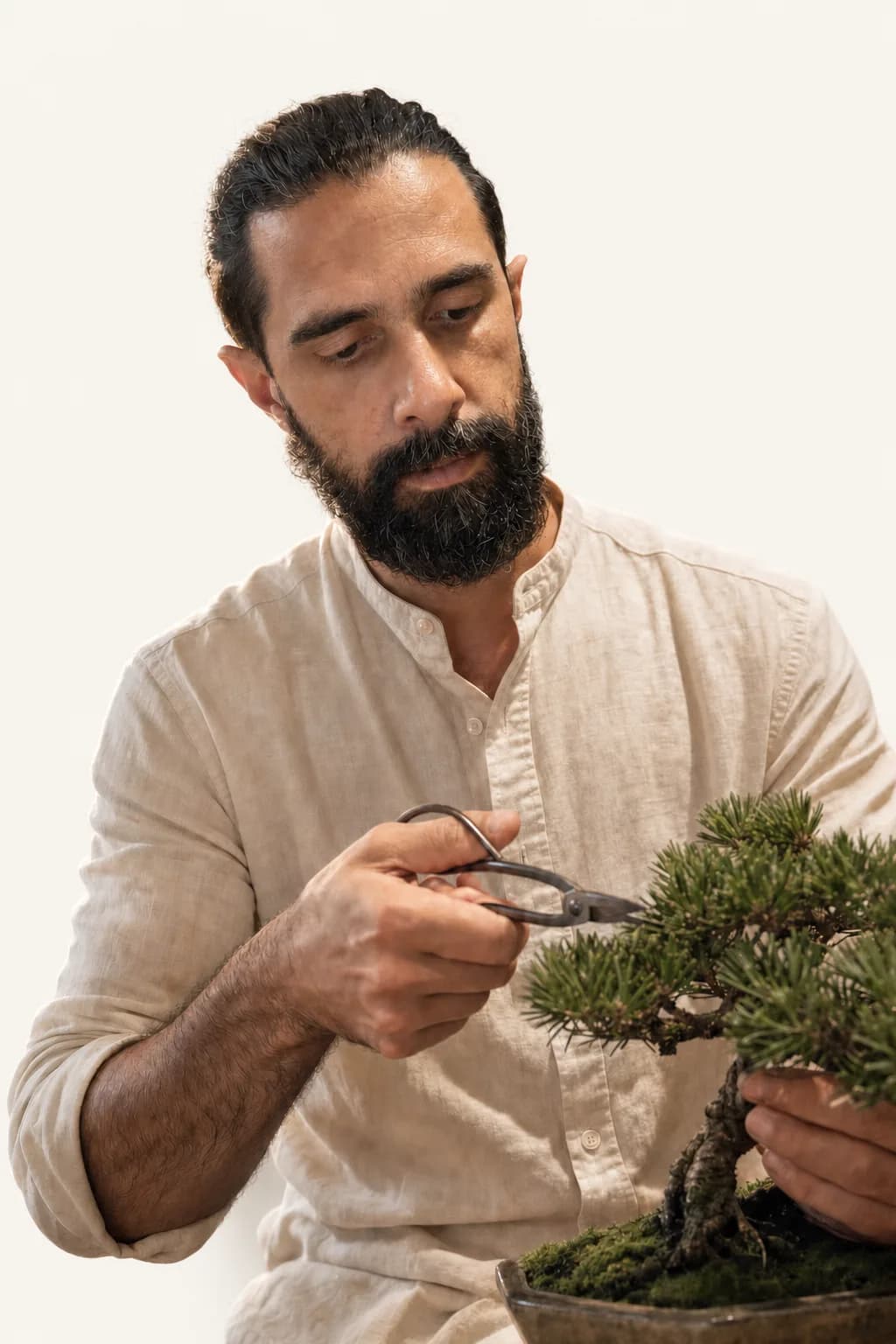 Manuel Turpin travaillant sur un bonsaï (portrait généré par IA à partir de photographies authentiques)