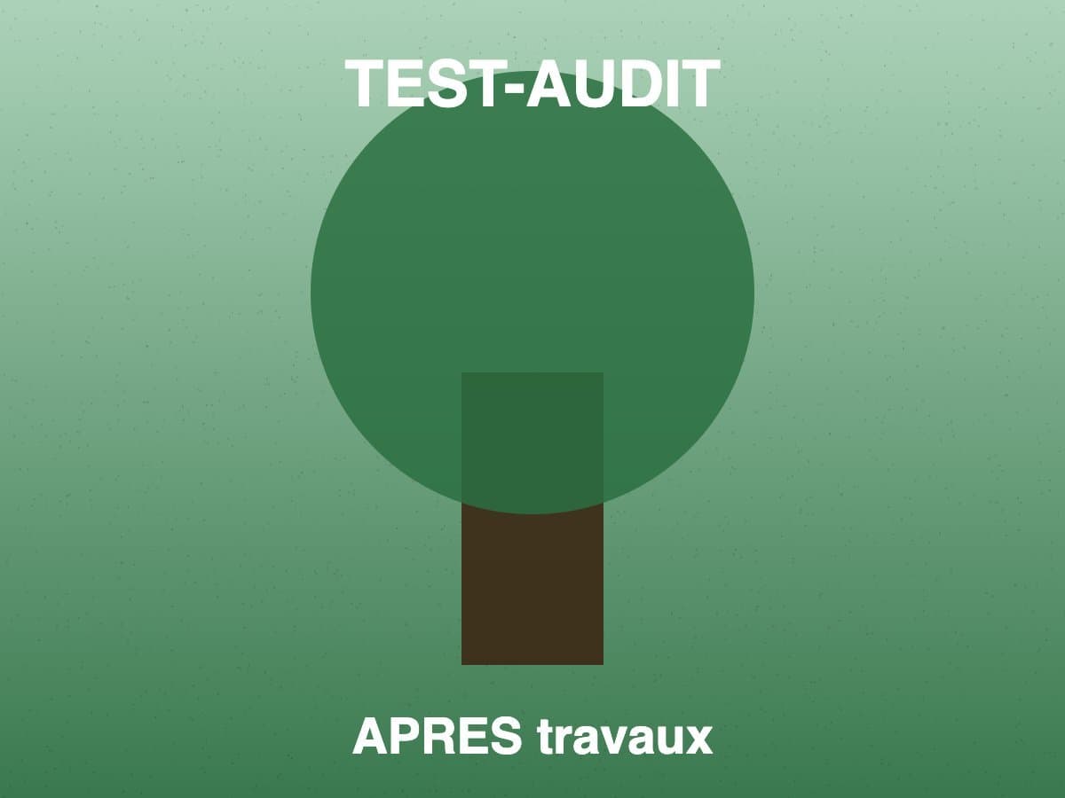 TEST-AUDIT Mise en forme Juniperus Itoigawa - après