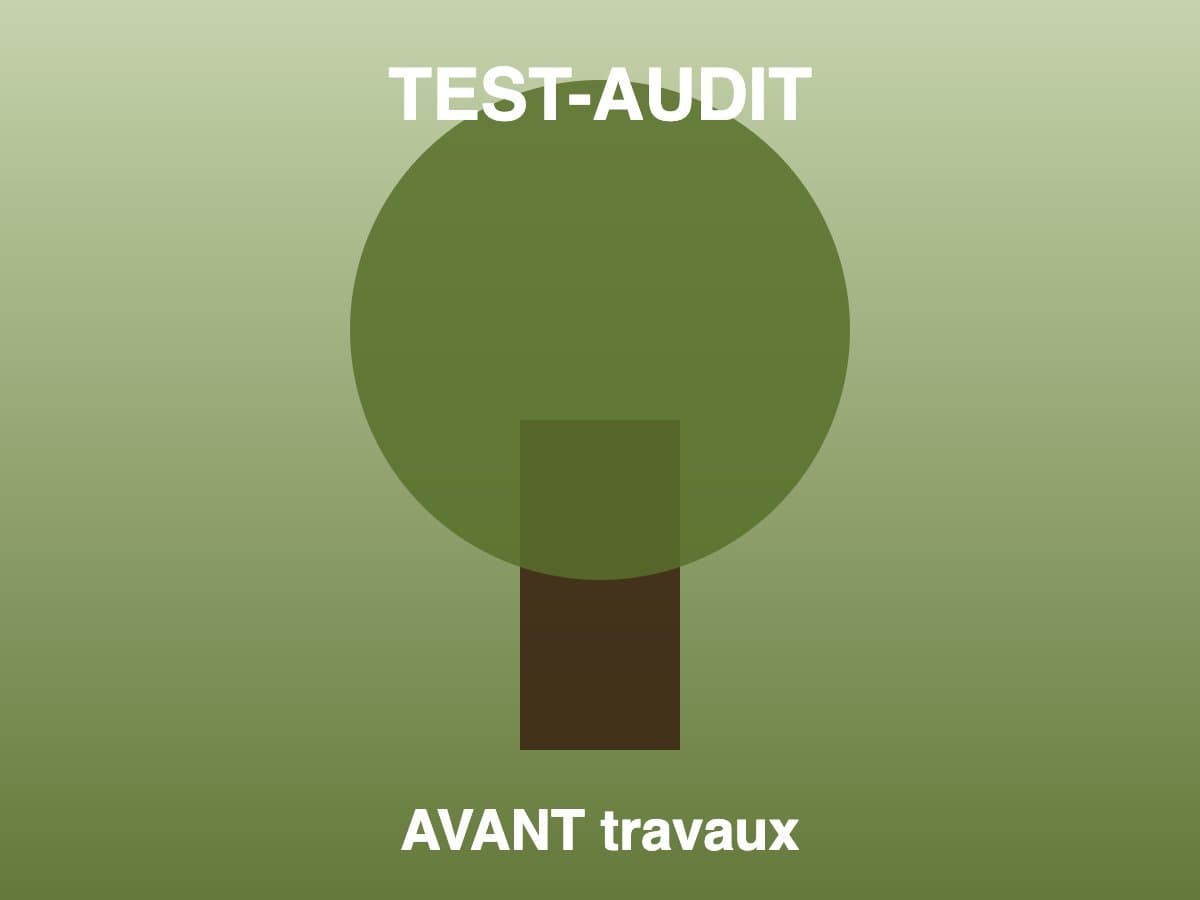 TEST-AUDIT Mise en forme Juniperus Itoigawa - avant